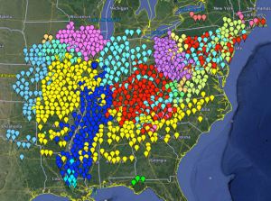A map showing the different Broods of 17 and 13 year cicadas i the eastern USA. Brook V are the purple dots. Each brood is on a different cycle of appearance. This map come from the cicadamania webpage which is chock full of info about these cicads including local reports of spottings. 
